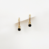 Elliptical hoops Black Swan