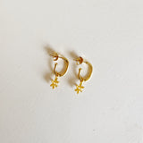 Elliptical hoops Flora