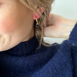 Elliptical hoops Black Swan