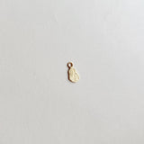 Flake charm